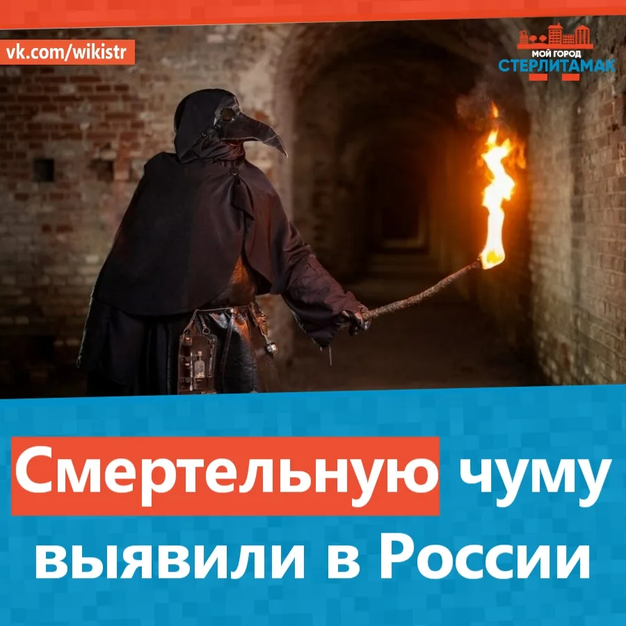 Смертельную чуму выявили в России — в Иркутской области сотрудница противочумного инсти...