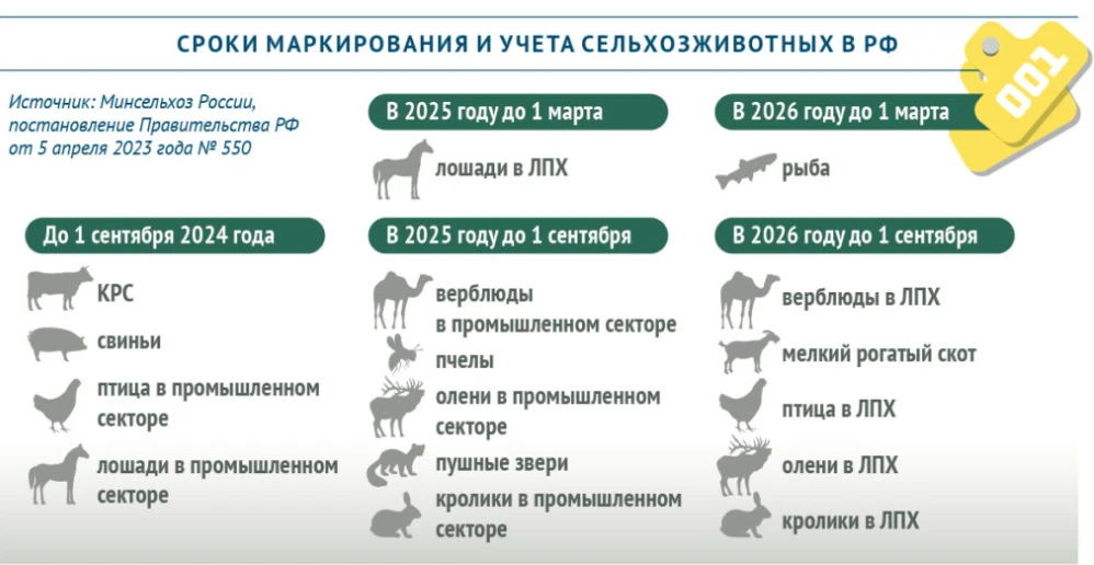 Учёт животных.