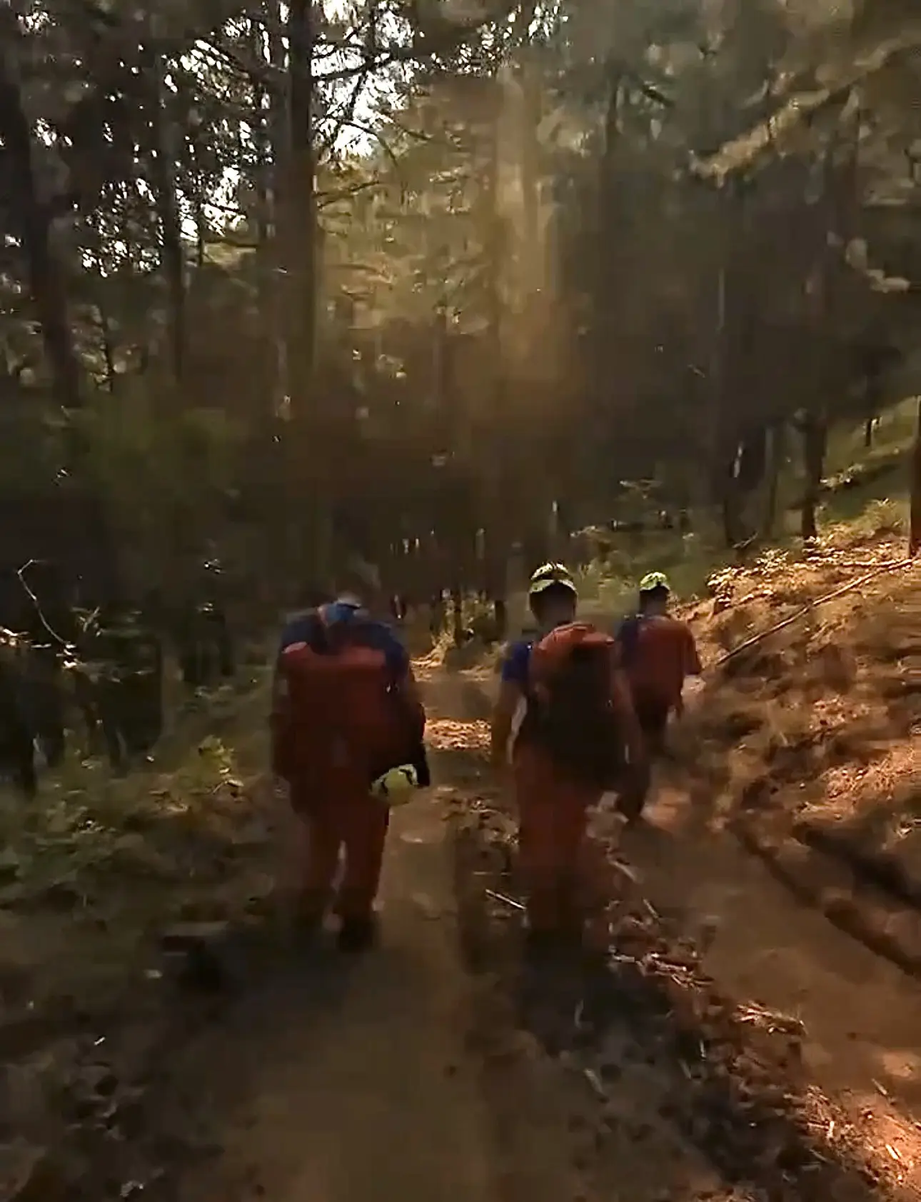 Тушение лесного пожара в Ялте продолжается