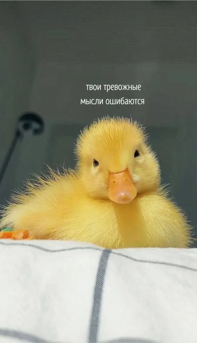 Вам послание🖤