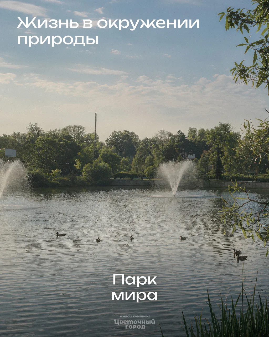 🌳В ЖК «Цветочный город» зеленые маршруты становятся частью повседневной жизни.