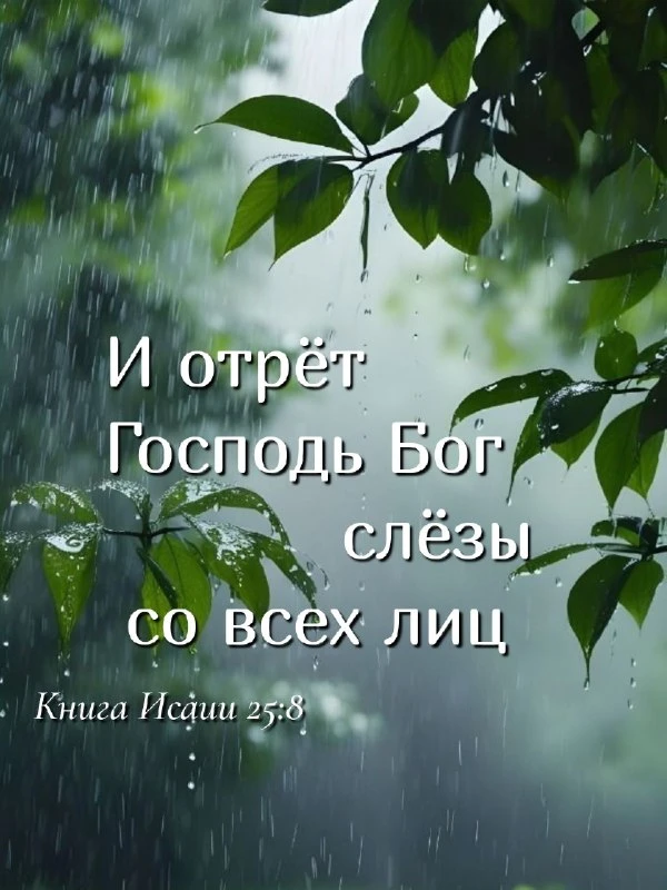 «И отрёт Господь Бог слёзы со всех лиц» / Книга Исаии 25:8 🙏