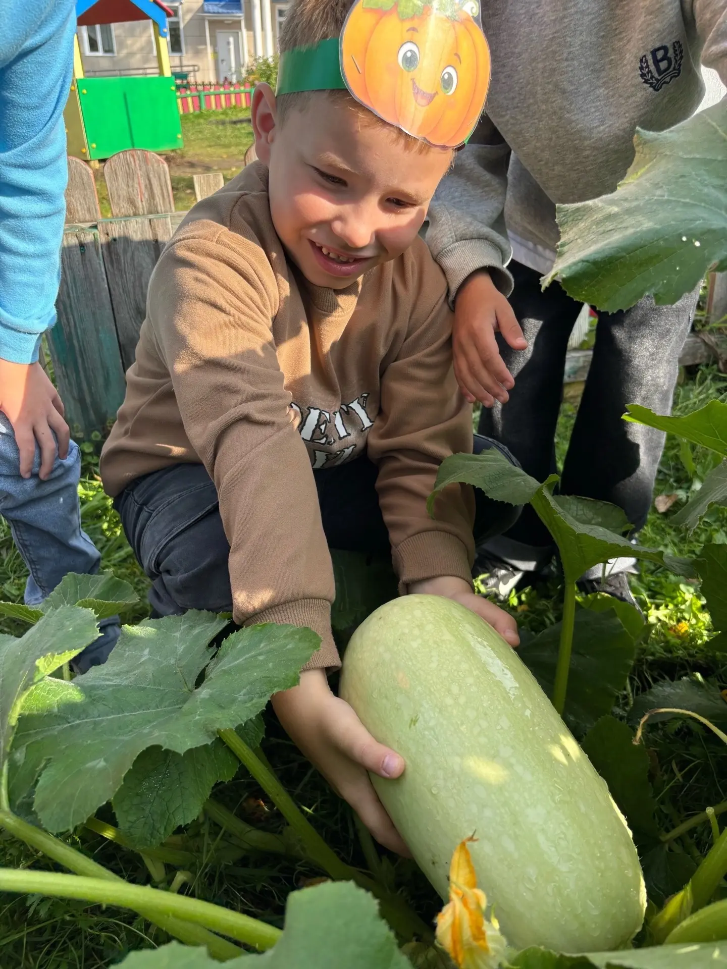 🎃«Грядка здоровья»: итоги муниципального конкурса.🌱🏆