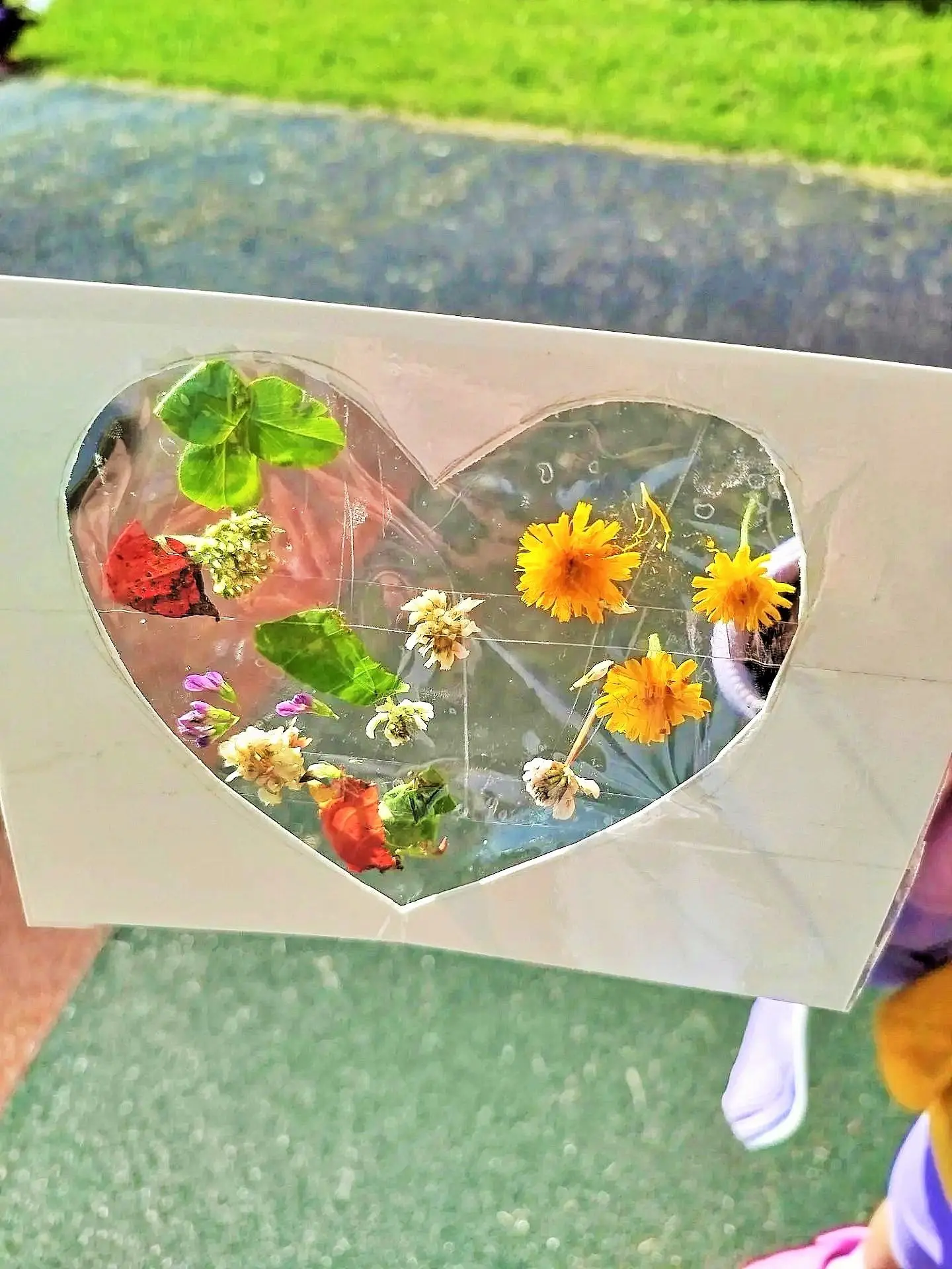 Летние картины в рамке! 🌼🔆🌸                                                         Воспитанники 