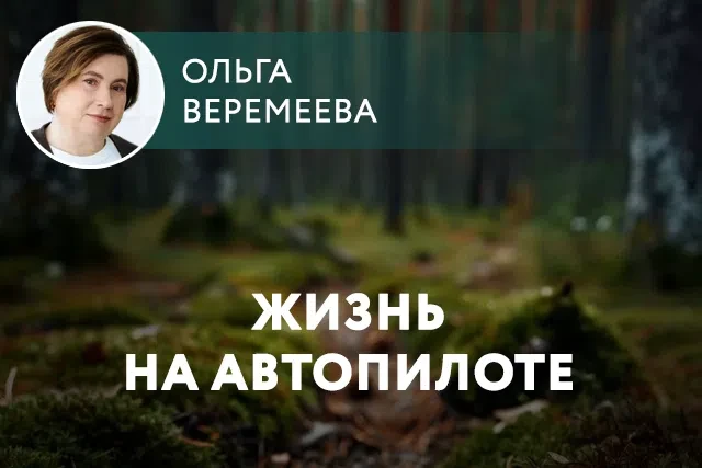 Вы замечаете, что многое принимаем не задумываясь? Что-то по-настоящему волшебное мы пр...