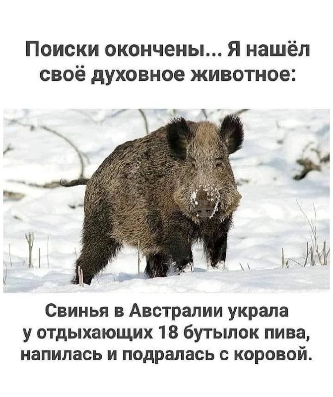 🤣🤣🤣