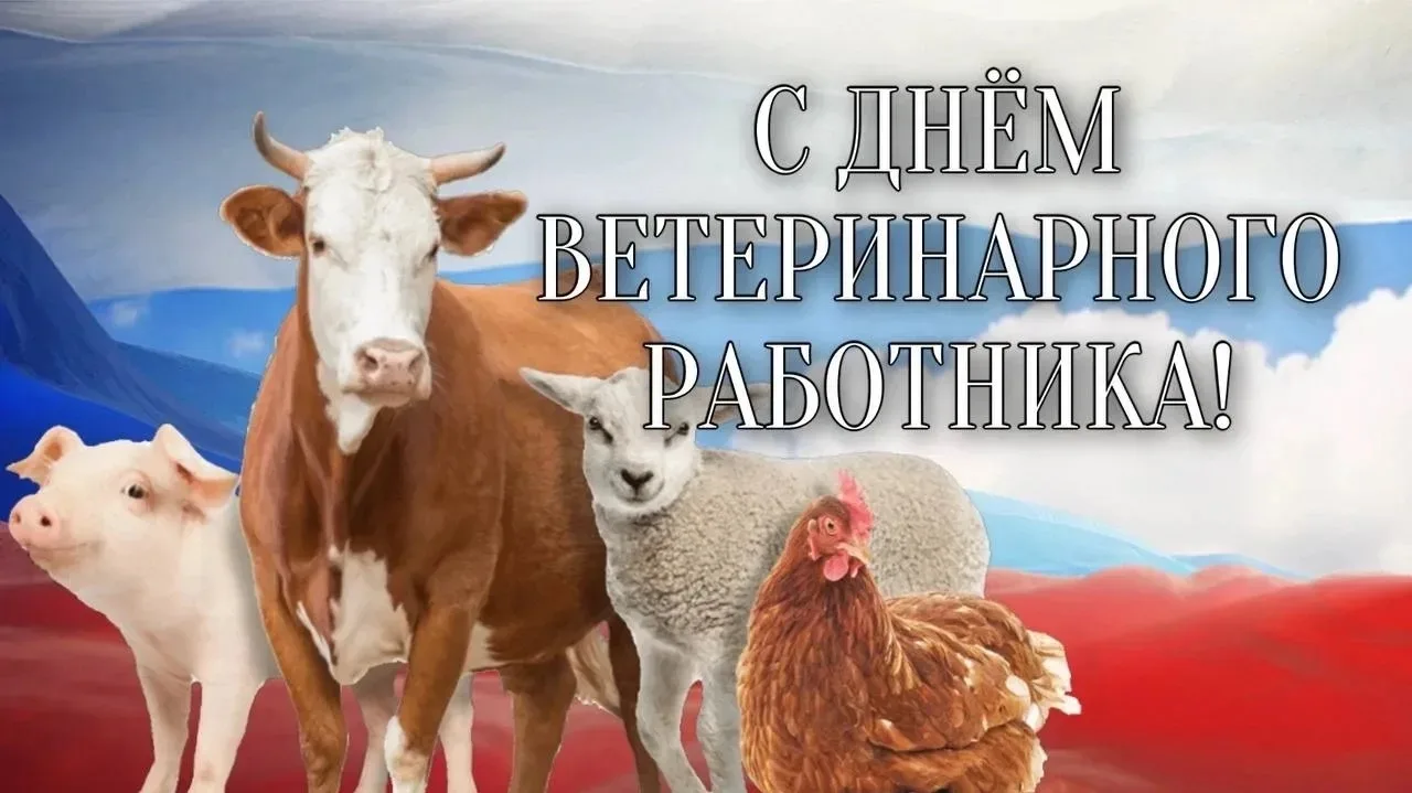📌День ветеринарного работника был учреждён Приказом Министерства сельского хозяйства Р...