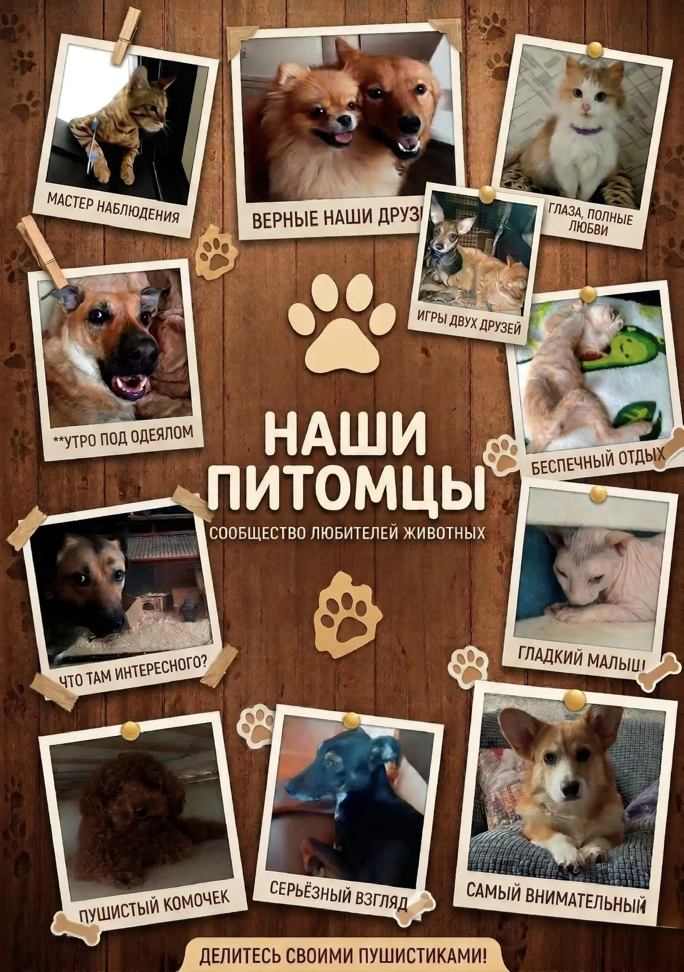 Медиа публикации