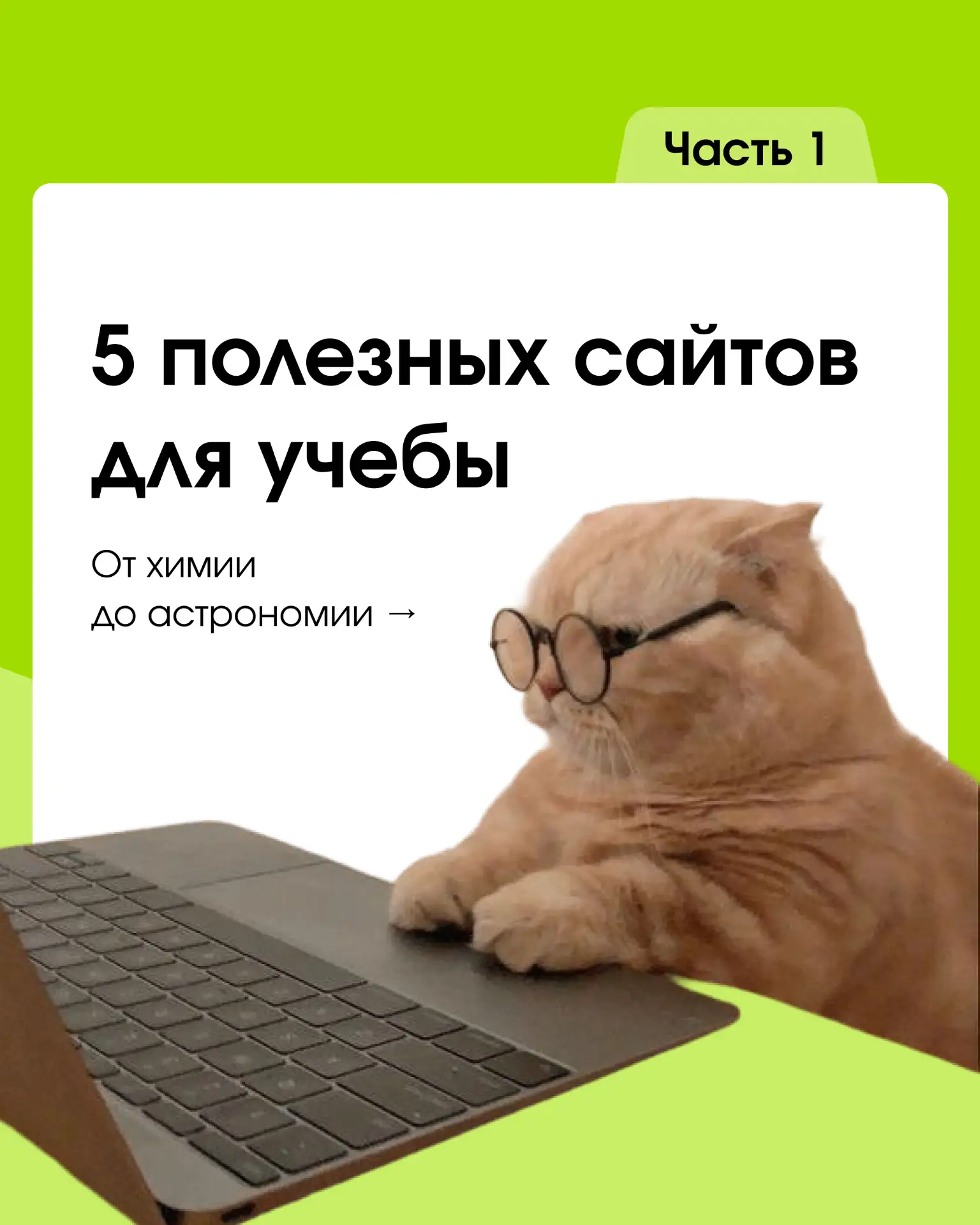 5 полезных сайтов для учебы 📚