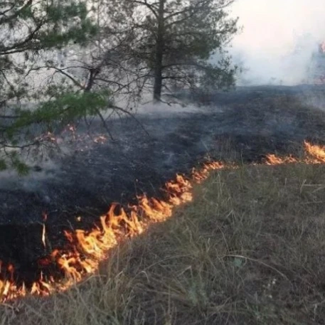 В центральной части Курганской области ожидается высокая пожарная опасность  Четвёртый класс горимос