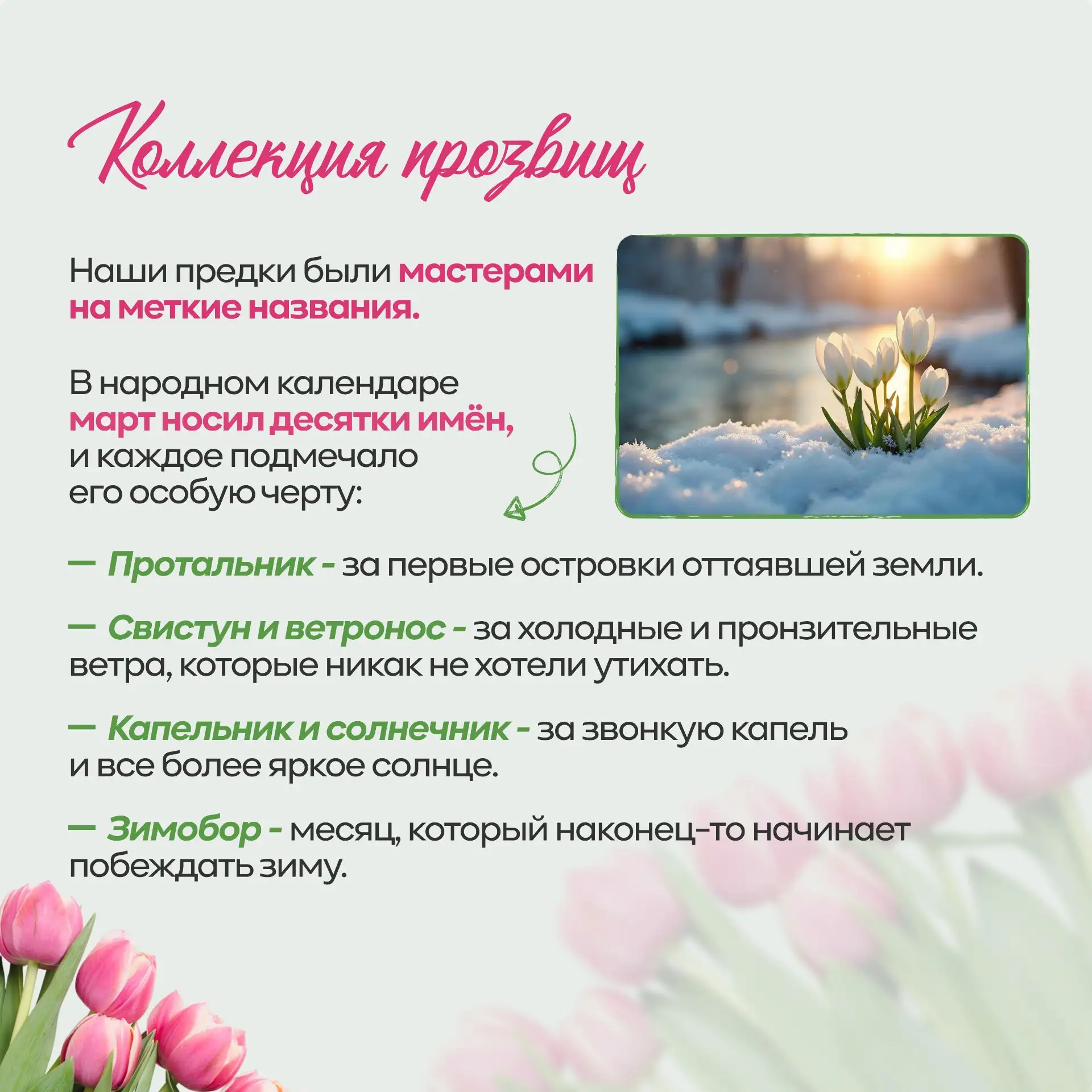 Ура, весна пришла! 🌸🌱  Март — это не просто первый весенний месяц в календаре. Это время, когда прир