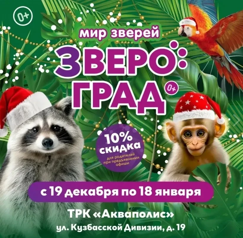Посетить экспозицию можно с 19 декабря 2025 г. по 18 января 2026 
 по адресу:
г. Псков
ТРК «Акваполи