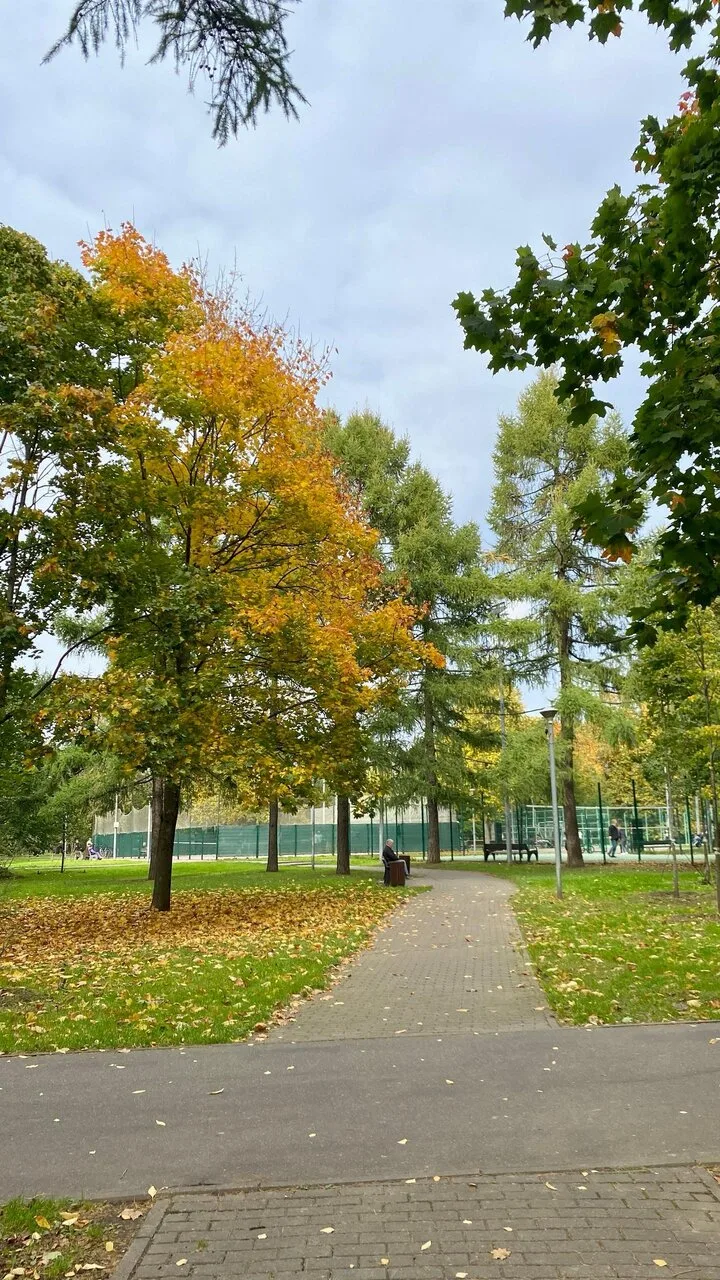 🍂🌞🦋 Воспоминания о чудесном тёплом сентябре!