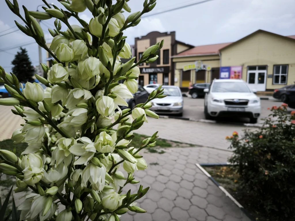 Всем доброго вечера понедельника! 👋

Рабочий день позади. Желаем вам хорошего отдыха, вкусного ужин