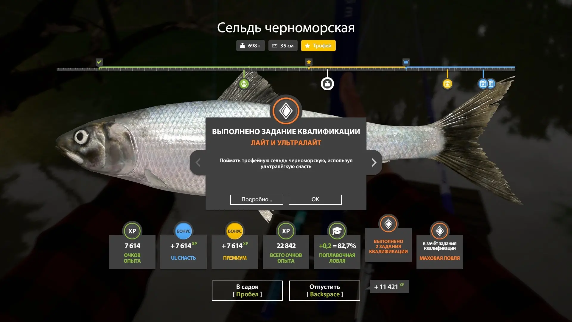 #донец