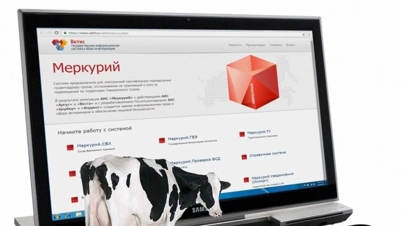 Что такое ВСД в «Меркурии» ?