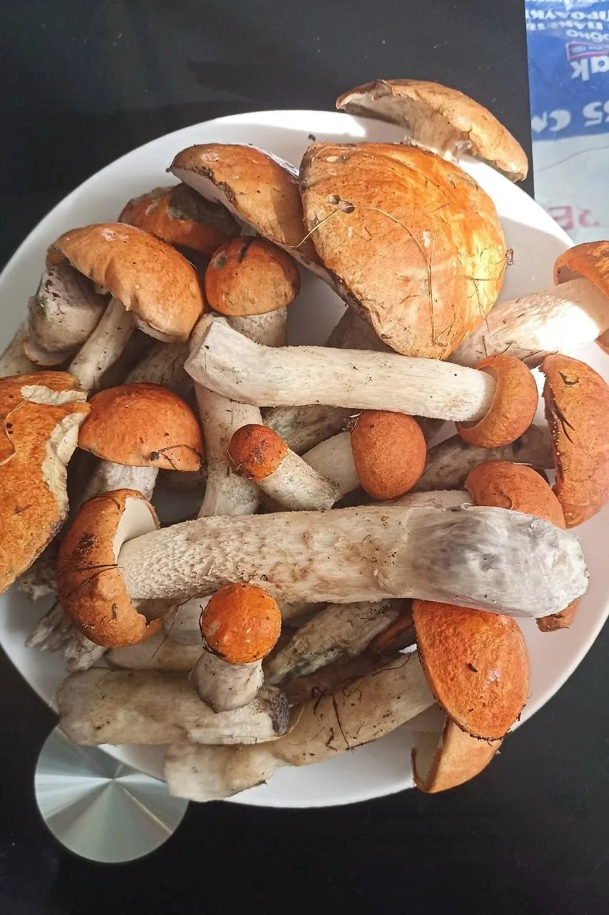 Ну что за красота 😍