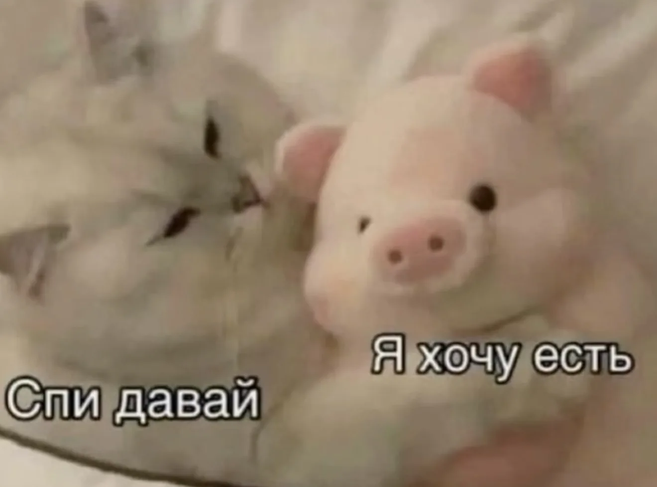 Мы или не мы?
