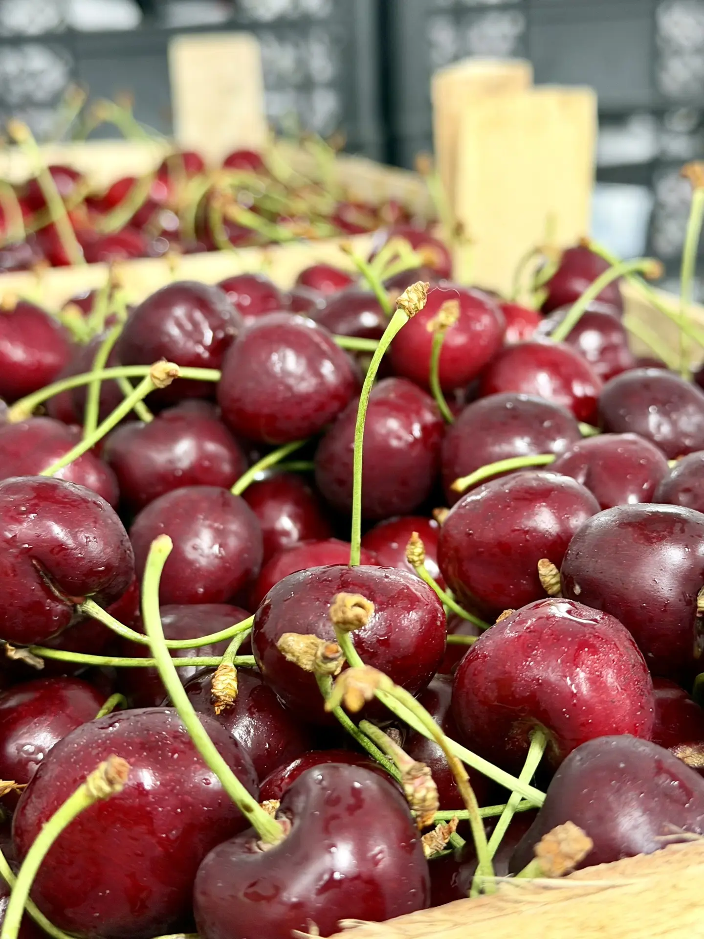 🍒 СВЕЖАЯ ЧЕРЕШНЯ УЖЕ ВО ВСЕХ МАГАЗИНАХ «Первый Ягодный»! 🍒