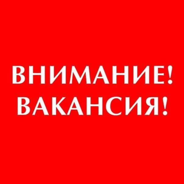 Грузчик (полный день)

«Айхал Центр»приглашает на работу ответственных и физически выносливых мужчин