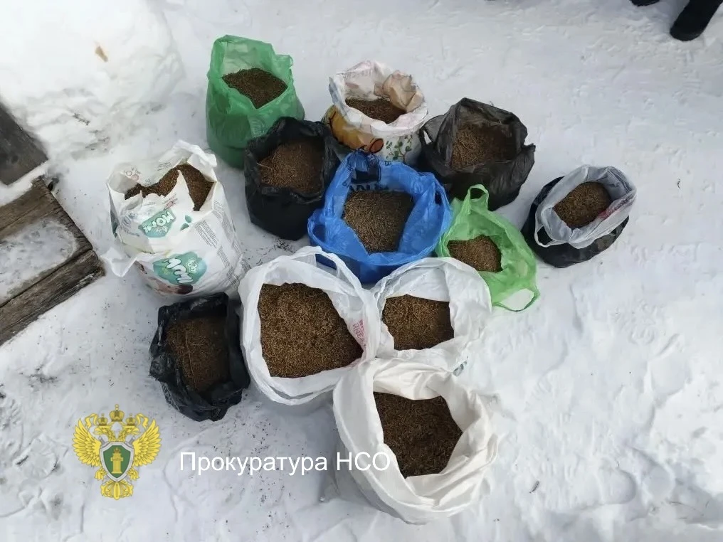 📍Седина в бороду, бес в ребро: в Новосибирской области перед судом предстанет 56-летний житель регио