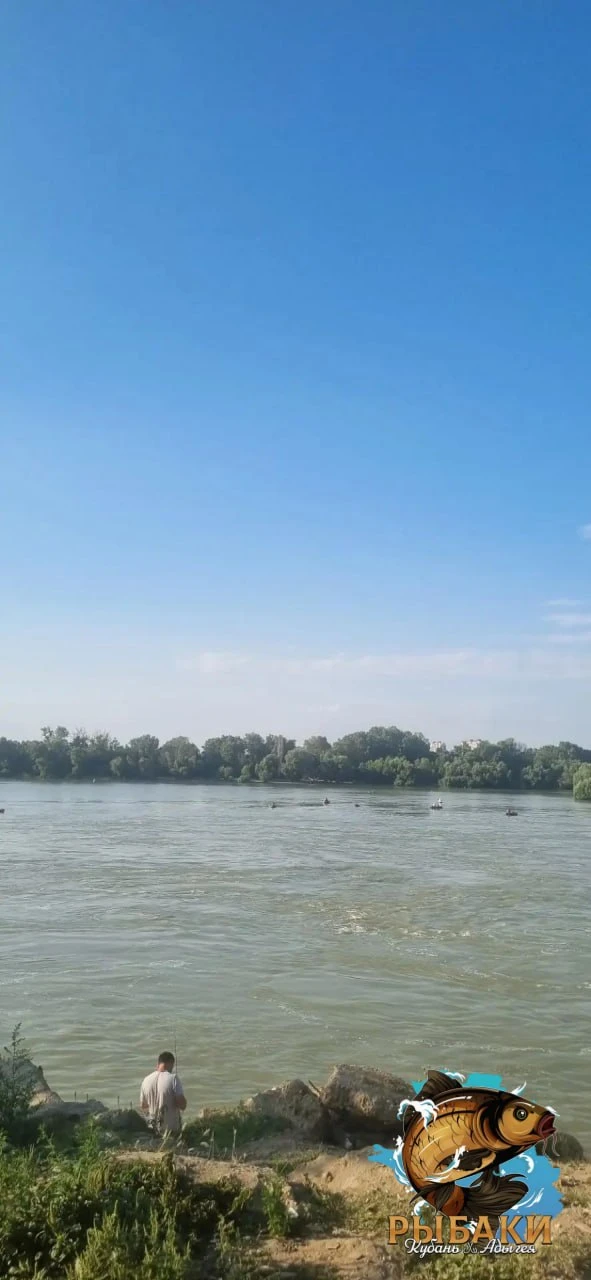 Ну что, неделя подготовки — и я наконец-то купил все нужные снасти для ловли чехони 🎣