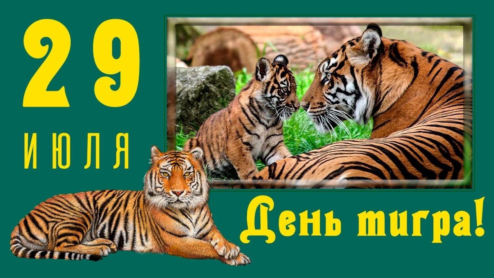 🗓 Ежегодно 29 июля мир отмечает Международный день тигра. Эта дата была учреждена в 2010 году на Ме