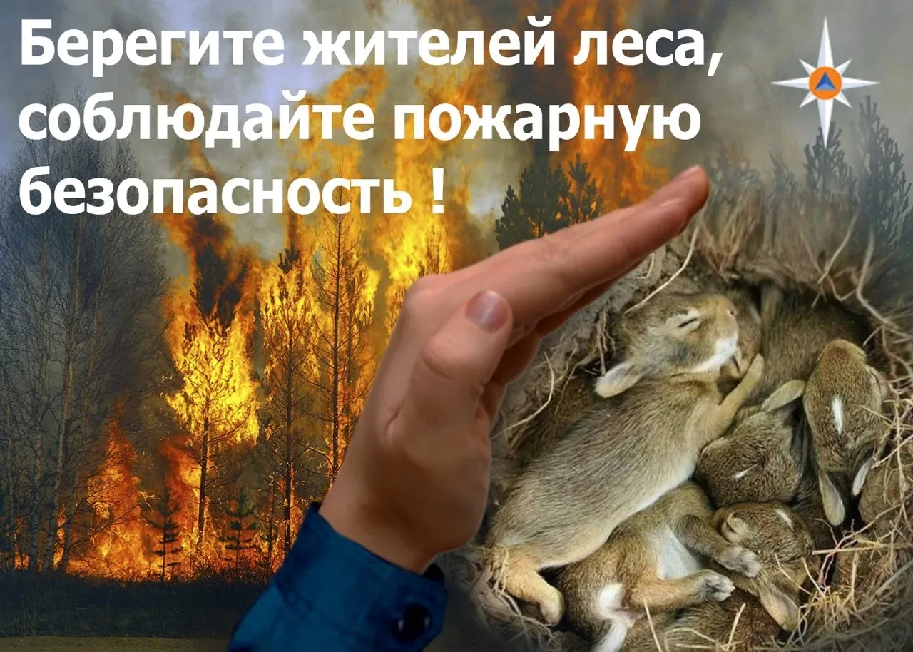 #МБОУСОШ34 #Пожарная безопасность