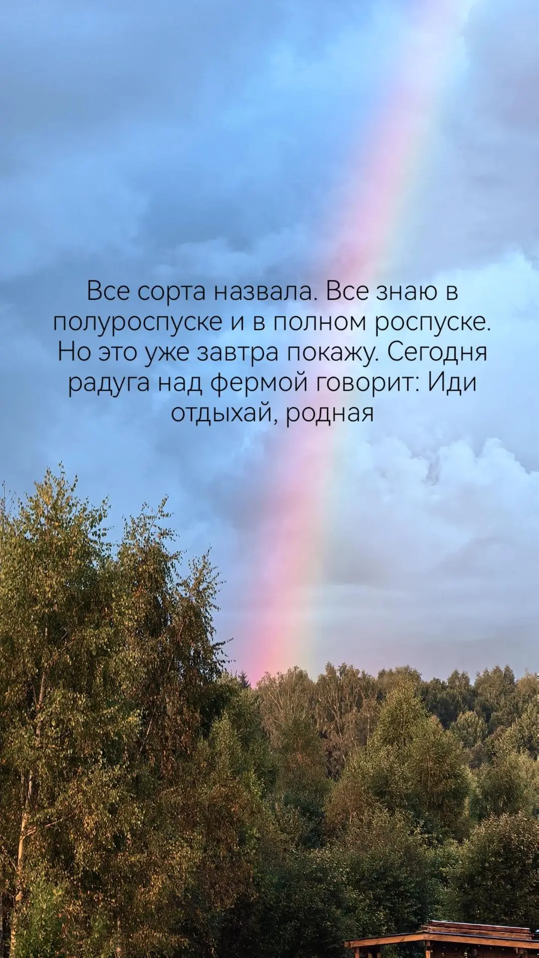 Спокойной ночи! Устали мы сегодня, бегать от дождя и выбегать поработать пока его нет.