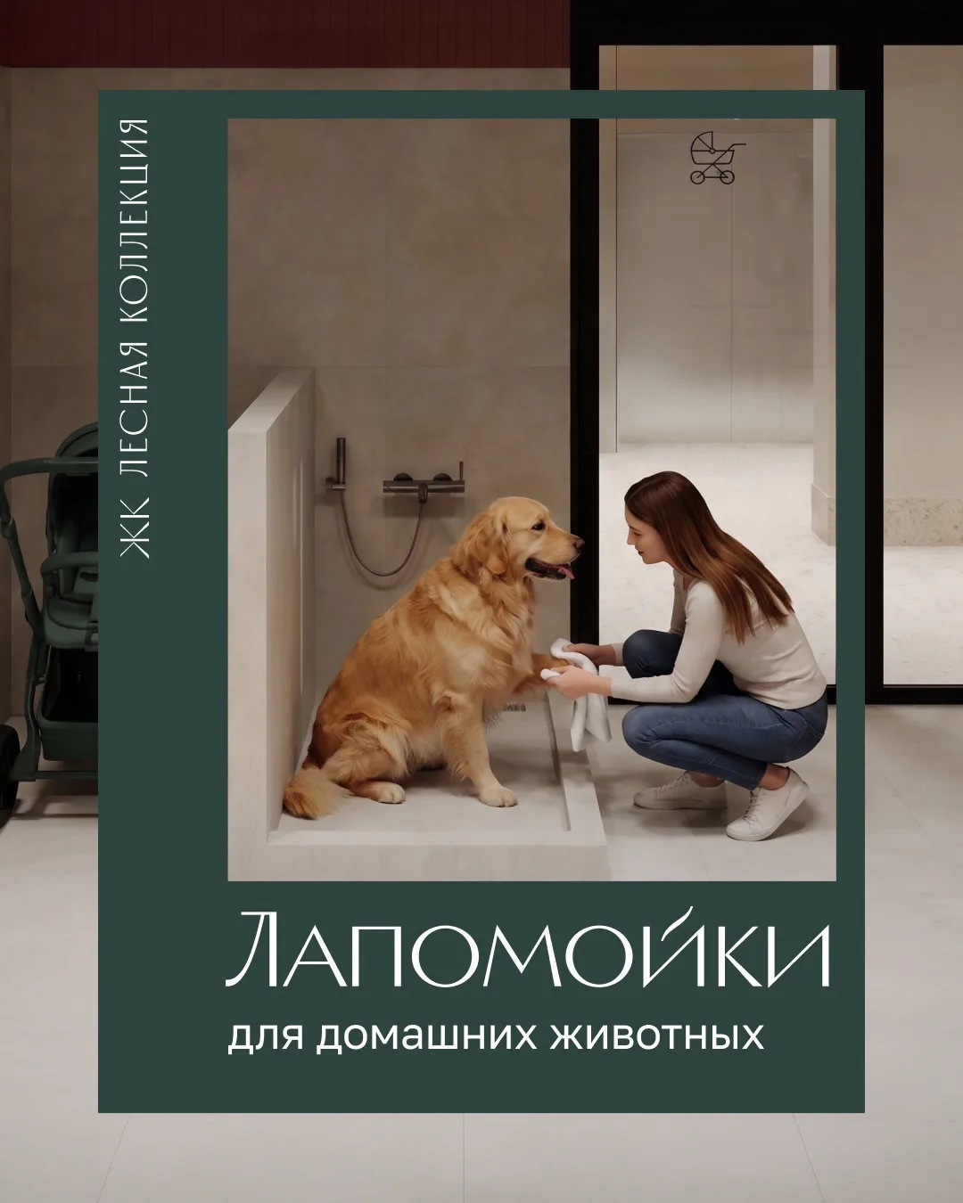Чистые лапы — чистый дом