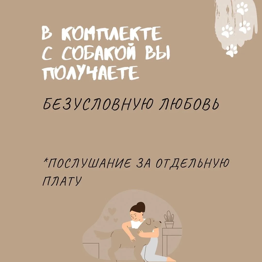Собака — это не просто собака. К ней в придачу вы совершенно бесплатно получаете новый дивный мир