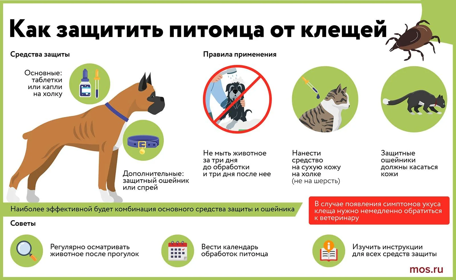 Начинается сезон активности клещей