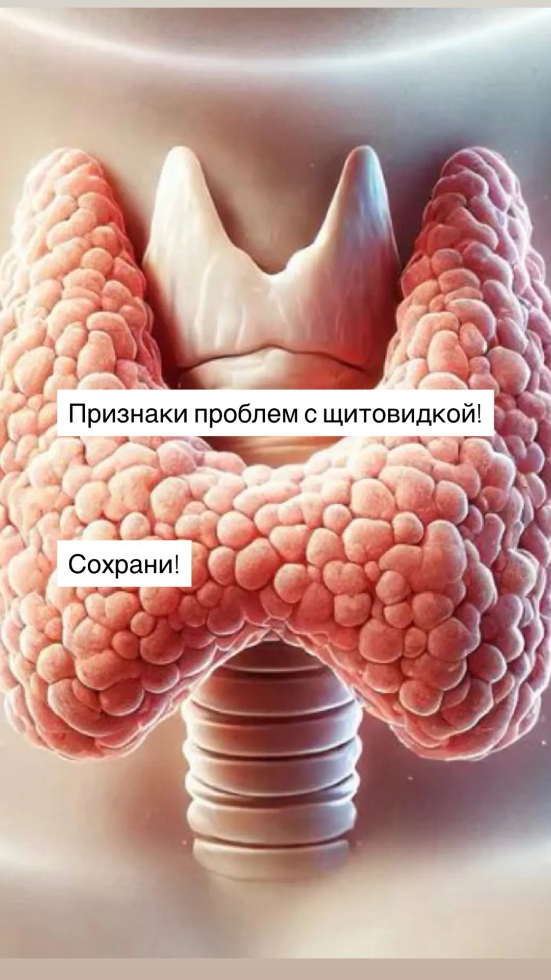 Напомню