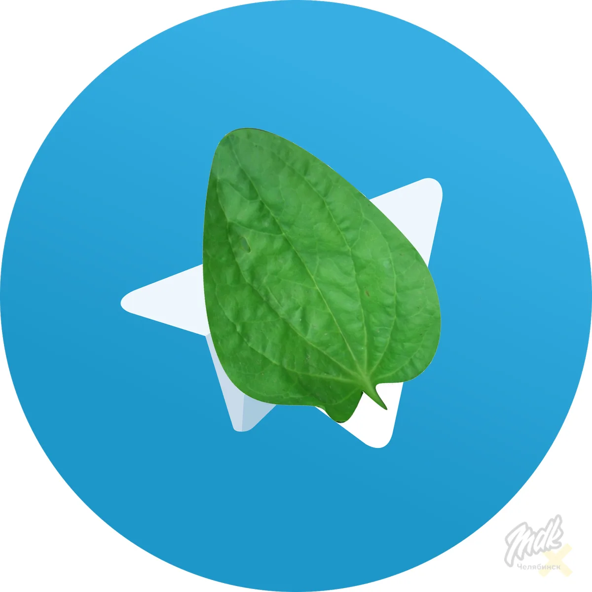 📱 Telegram может избавиться от ограничений по примеру Roblox

В Госдуме заявили, что мессенджер смо