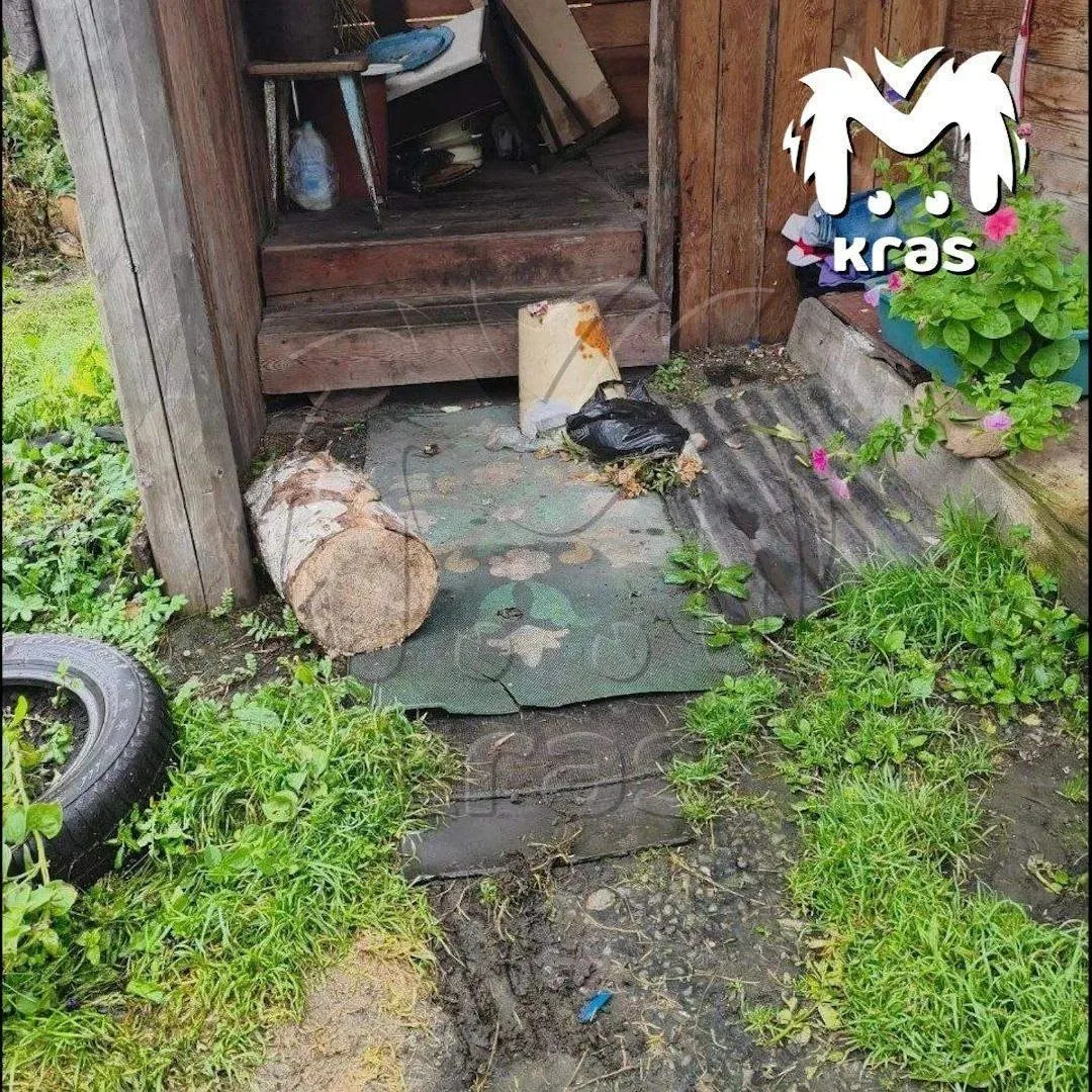 ⚡Медведь растерзал пенсионерку во дворе собственного дома в Ермаковском районе