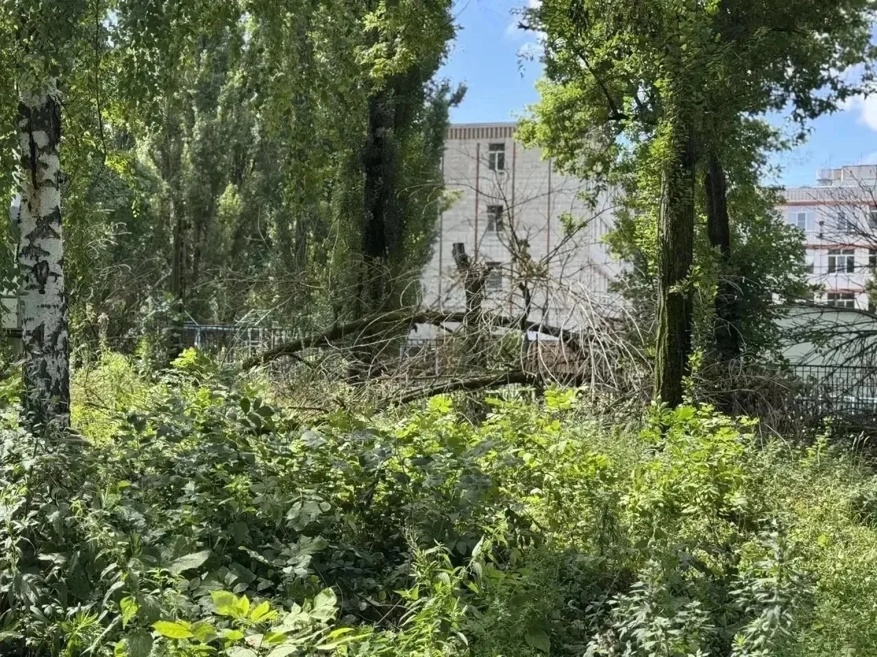 Уважаемые родители! 👋
