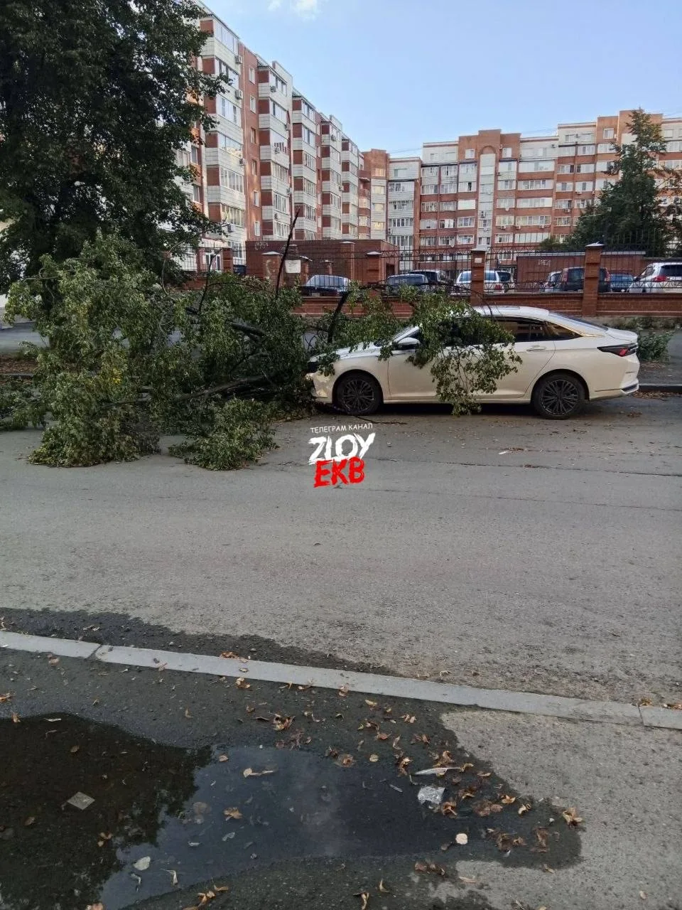Дерево упало на машину. ВИЗ, Нагорная напротив Визави.