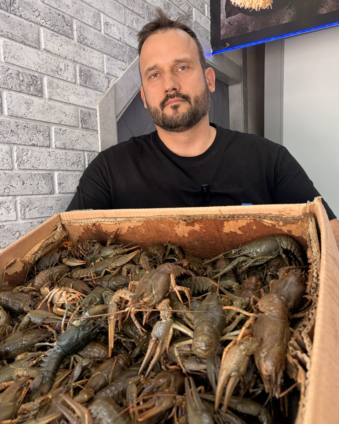 Друзья, привезли раков много, кто хочет ароматную баночку к пиву?🦞