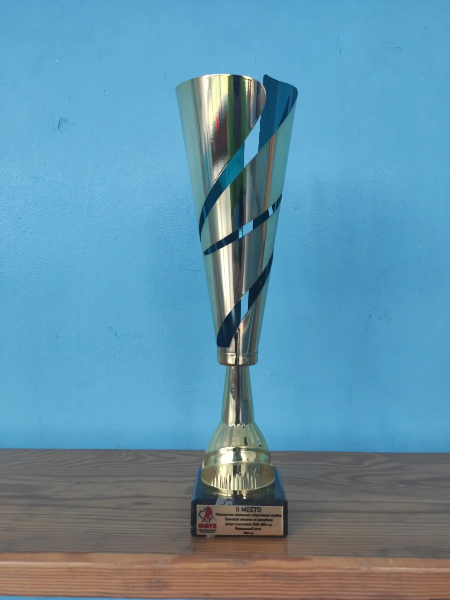 🏆 Серебро Первенства Тульской области по флорболу!