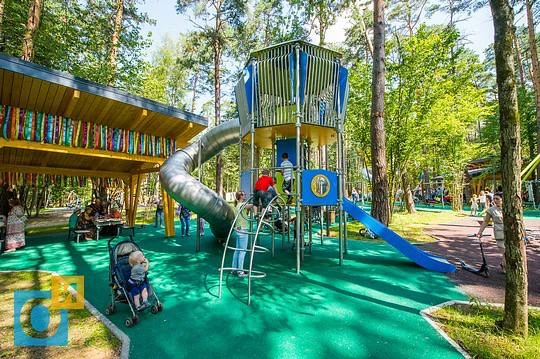 🌲 ПРОВОДИМ ВЫХОДНЫЕ ПОСРЕДИ СОСНОВОГО ЛЕСА!