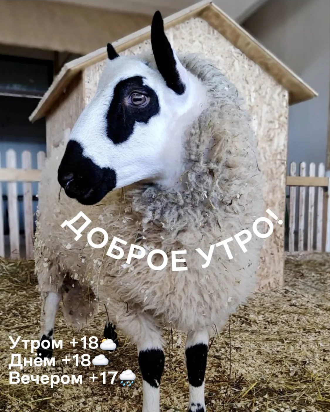 Доброе утро! Гидромет Шихово!

29 июля, парк открыт для вас с 10 до 19, работают все локации.

Утром