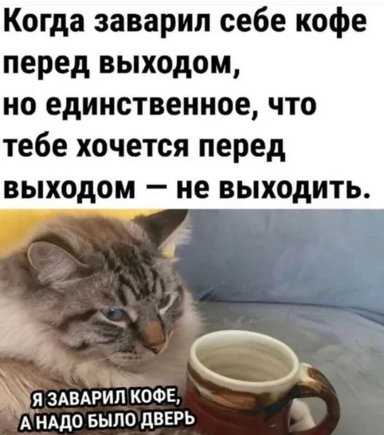 Первые дни — это всегда испытание на прочность. Вы ещё не вошли в ритм, голова гудит от...
