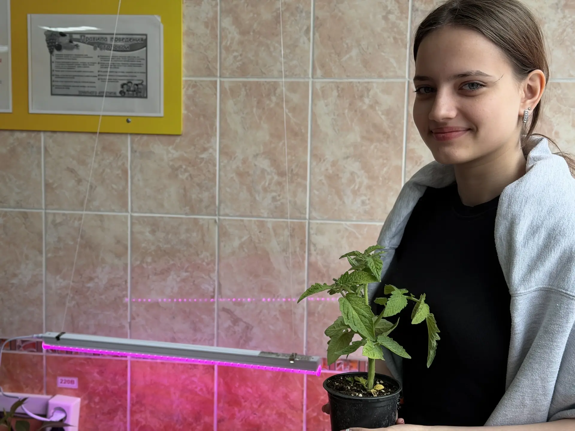 ⚡️ От идеи к делу: проект «Цвести 🍃 и заряжать 🔋» запущен!  Помните нашу стратегическую сессию со ст