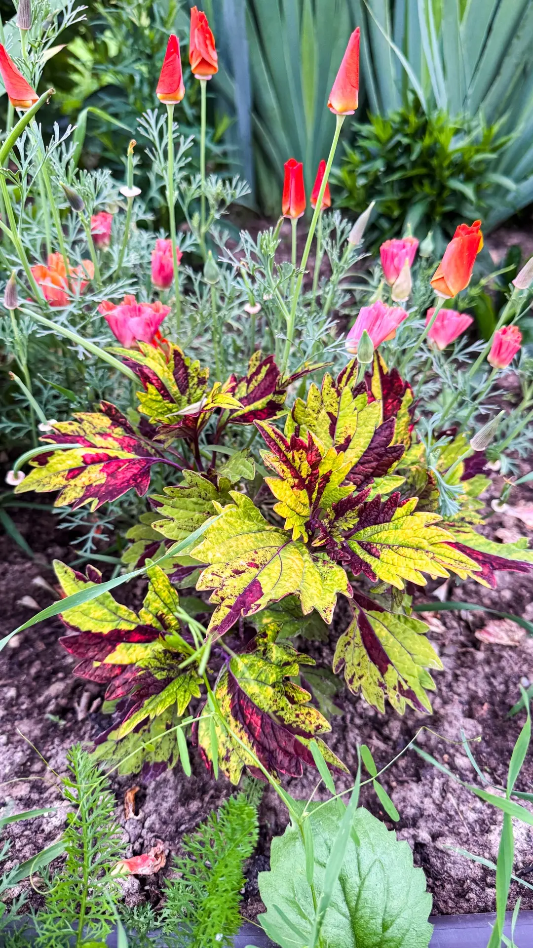 Немного красоты вам и мы отдыхать 🥰