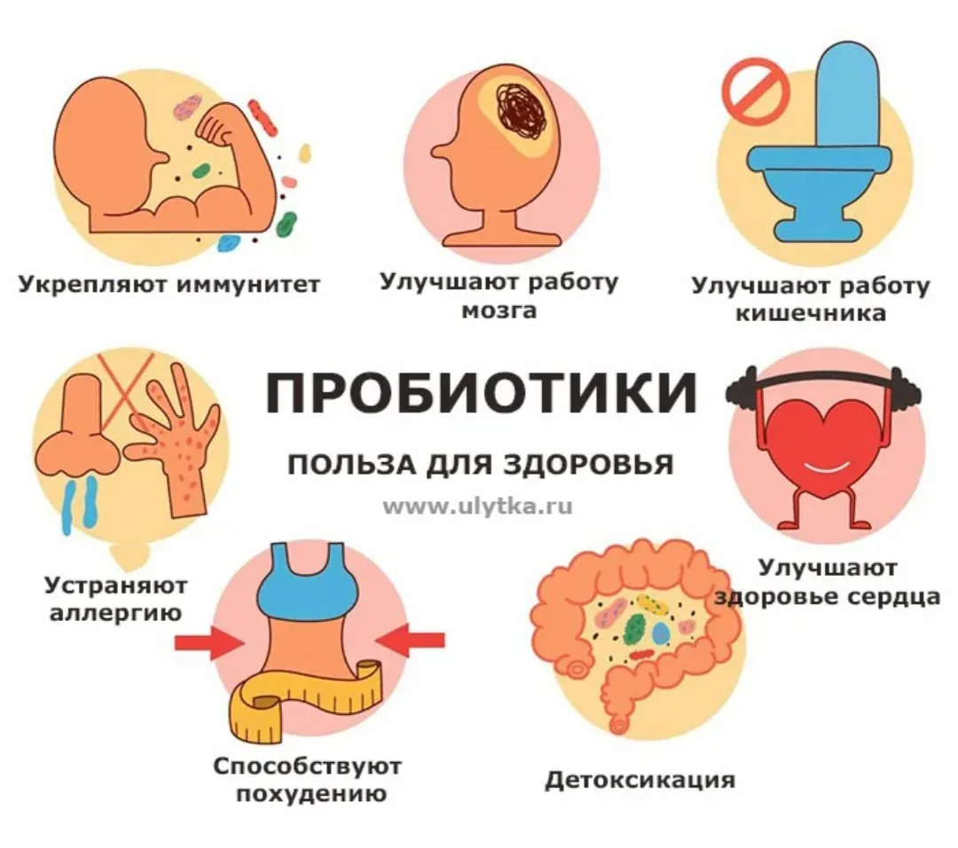 🛡️ Пробиотики — ваш внутренний щит. И вот почему это не просто модное слово