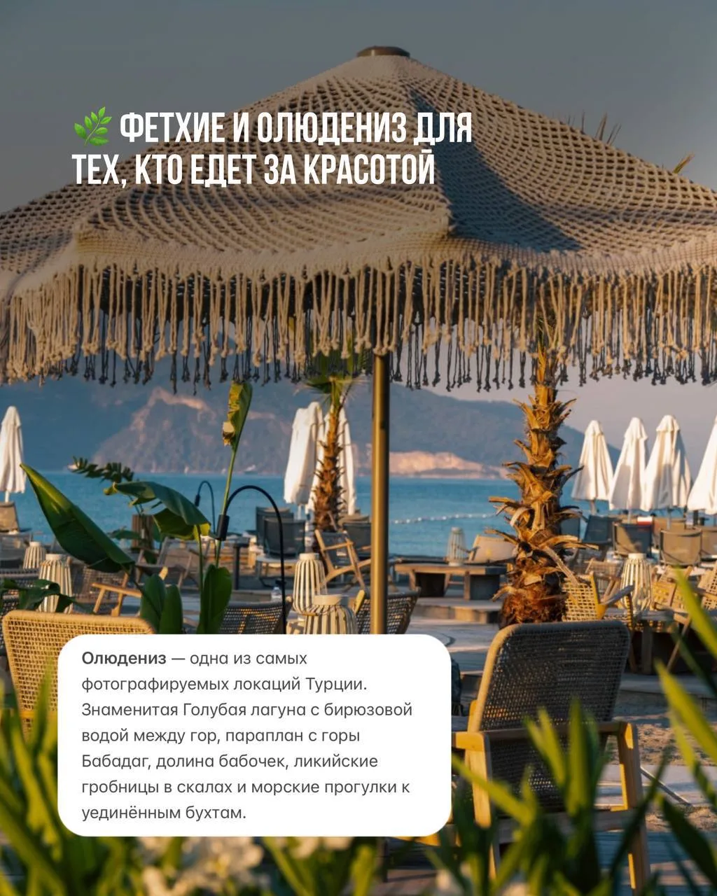 Обзор побережья Турции на Эгейском море 🌿