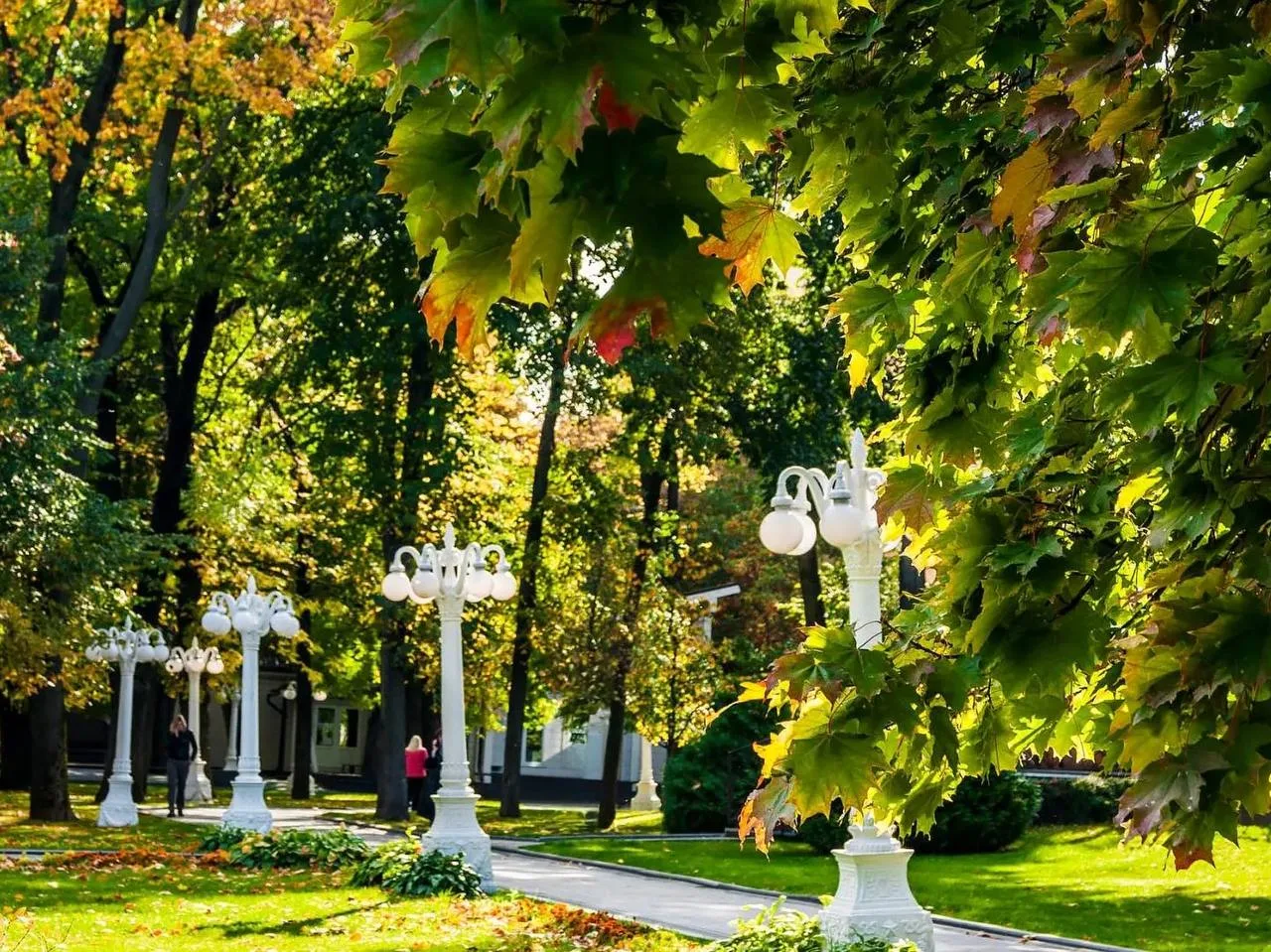 🍁 Желаем солнечных выходных и прекрасного настроения!