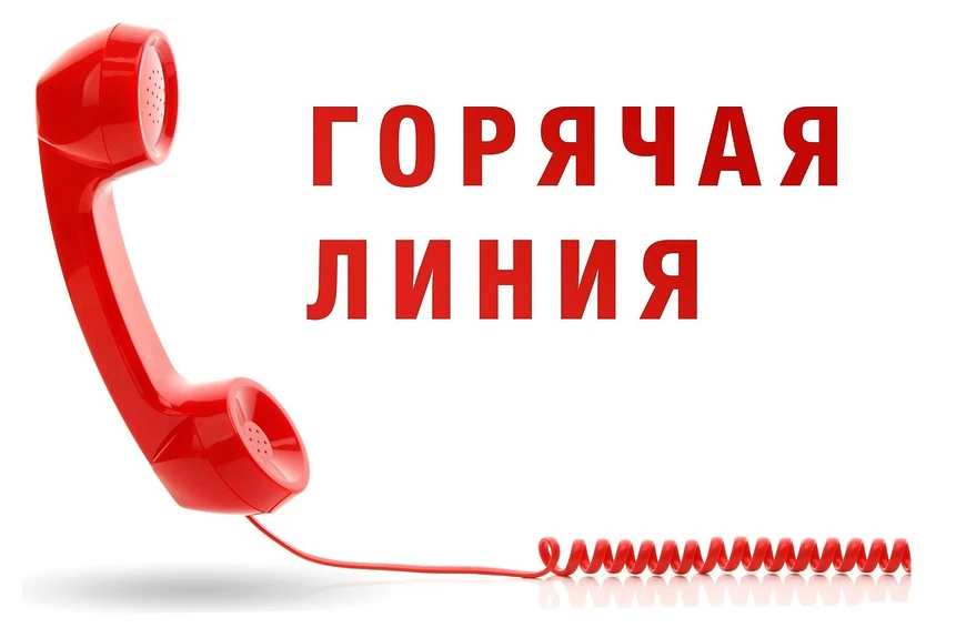 🔔 Горячая линия КДНиЗП: защитим права детей вместе!