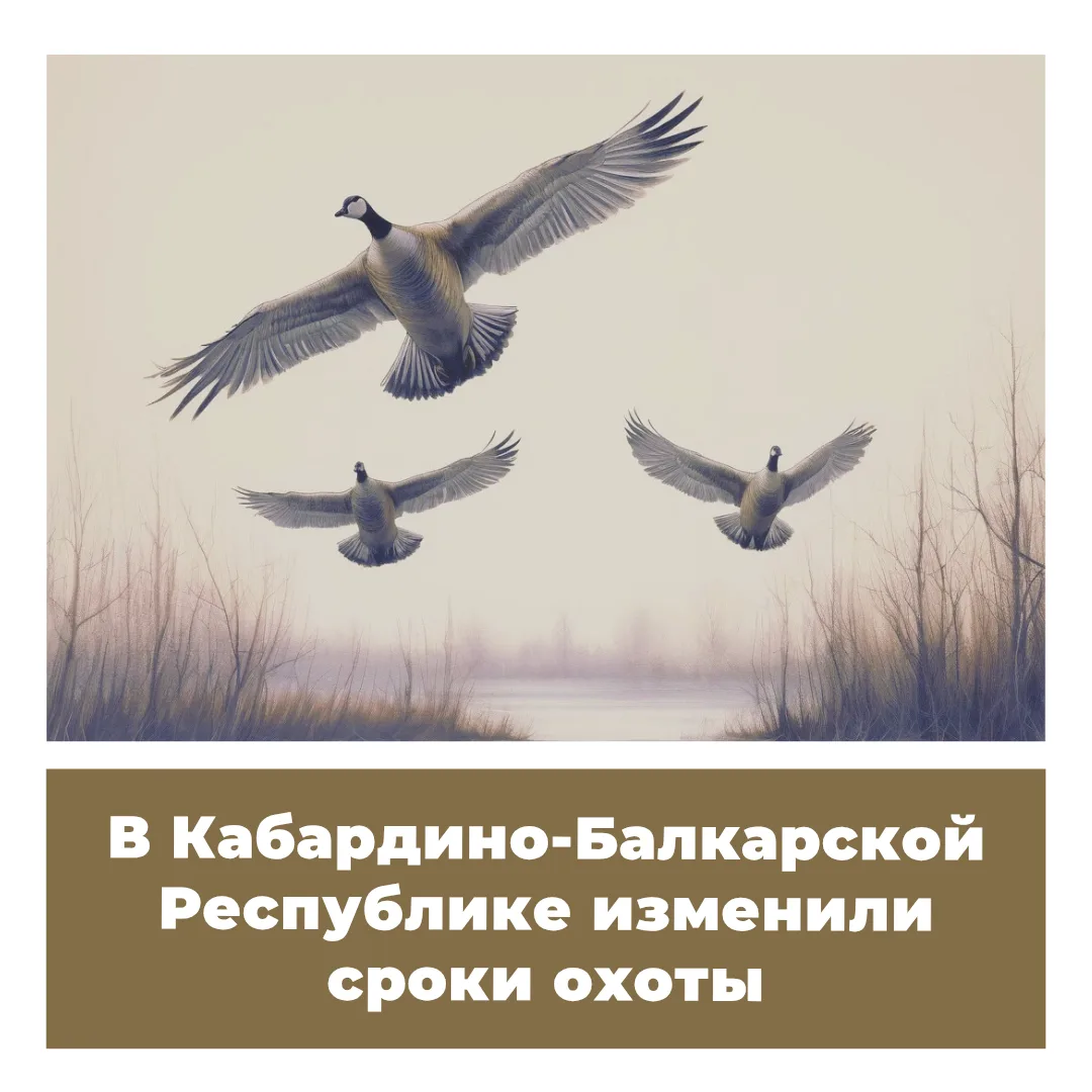 Указом Главы Кабардино-Балкарской Республики от 27.04.2026 № 41-УГ определены новые сро...