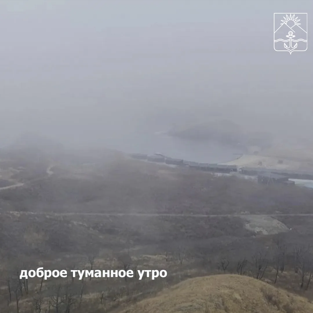 🌞Доброе утро, жители красивого Хасанского округа!   🌤Сегодня пасмурно, дождь  🌙Ночью +5°  🌟Днем +7..